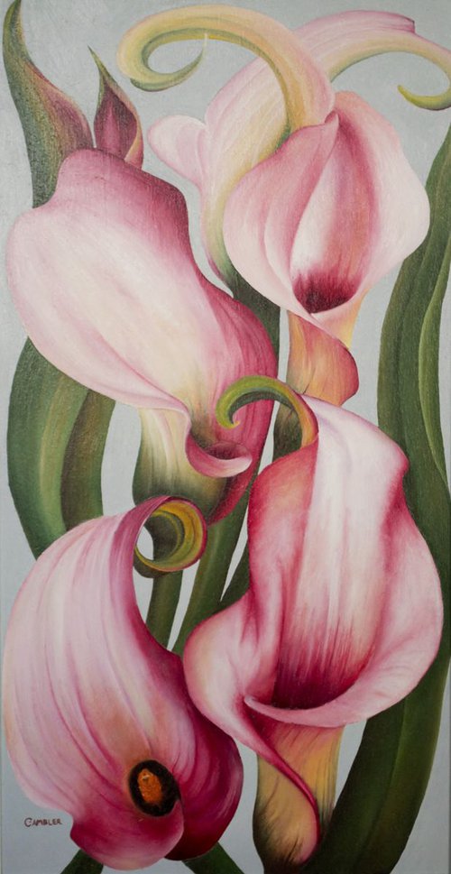 Pink Calla Lilies - Framed Oil Painting by Charlotte Ambler