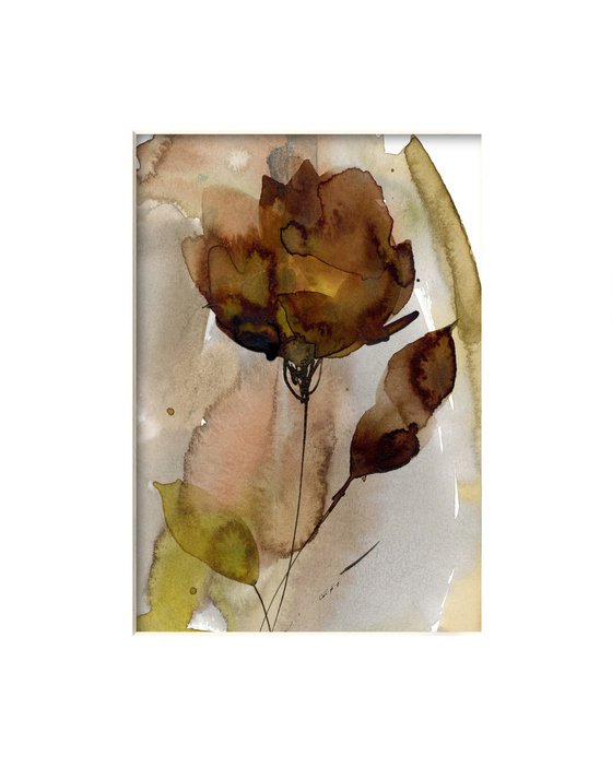 Organic Delights 24