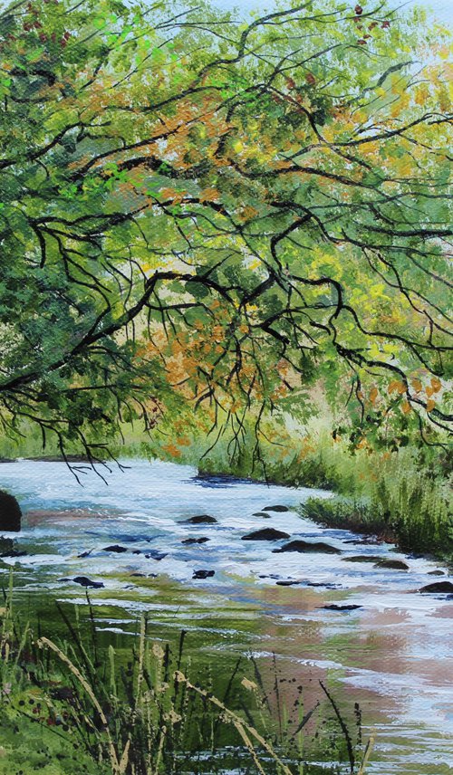 River Barle, Exmoor by Valerie Jobes