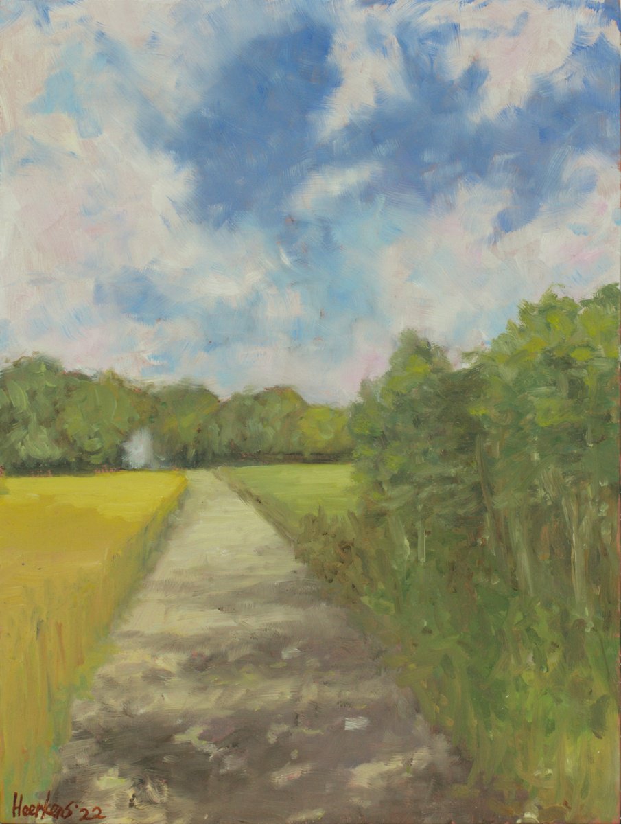 Shevington path towards copse. by Egidius Heerkens