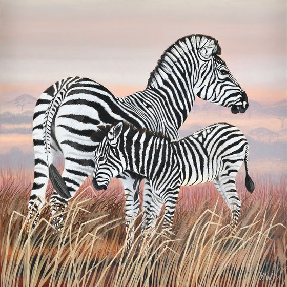 Zebra and Colt