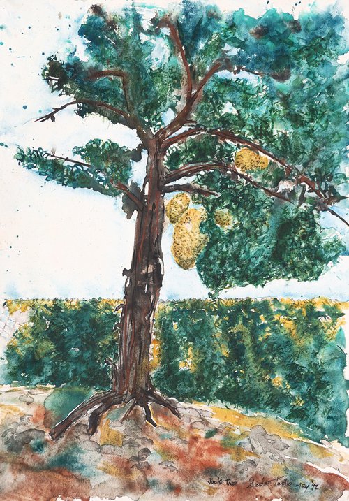 Jack tree by Gordon T.