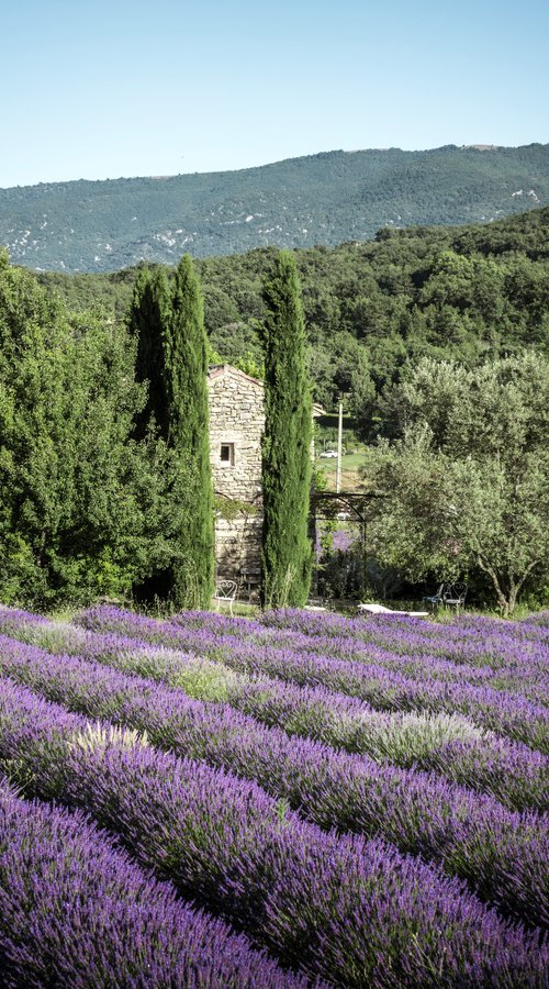 THE BEAUTIFUL HOUSE IV by Fabio Accorrà