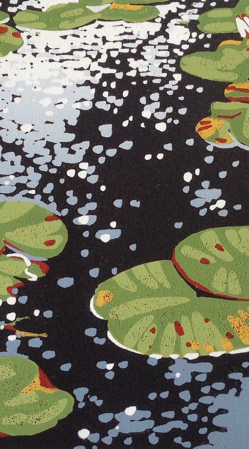 Lilies and Reflections by Alexandra Buckle