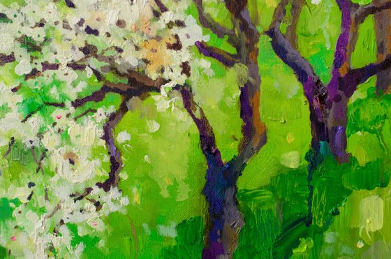 Whispers of Blossom Light