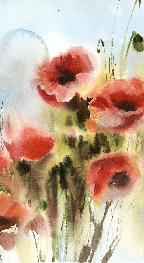 Poppy Flowers by Sophie Rodionov