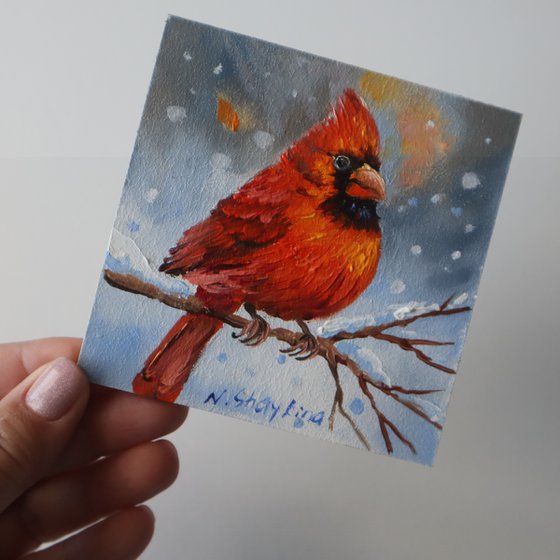 Cardinal and Robin, Set 2