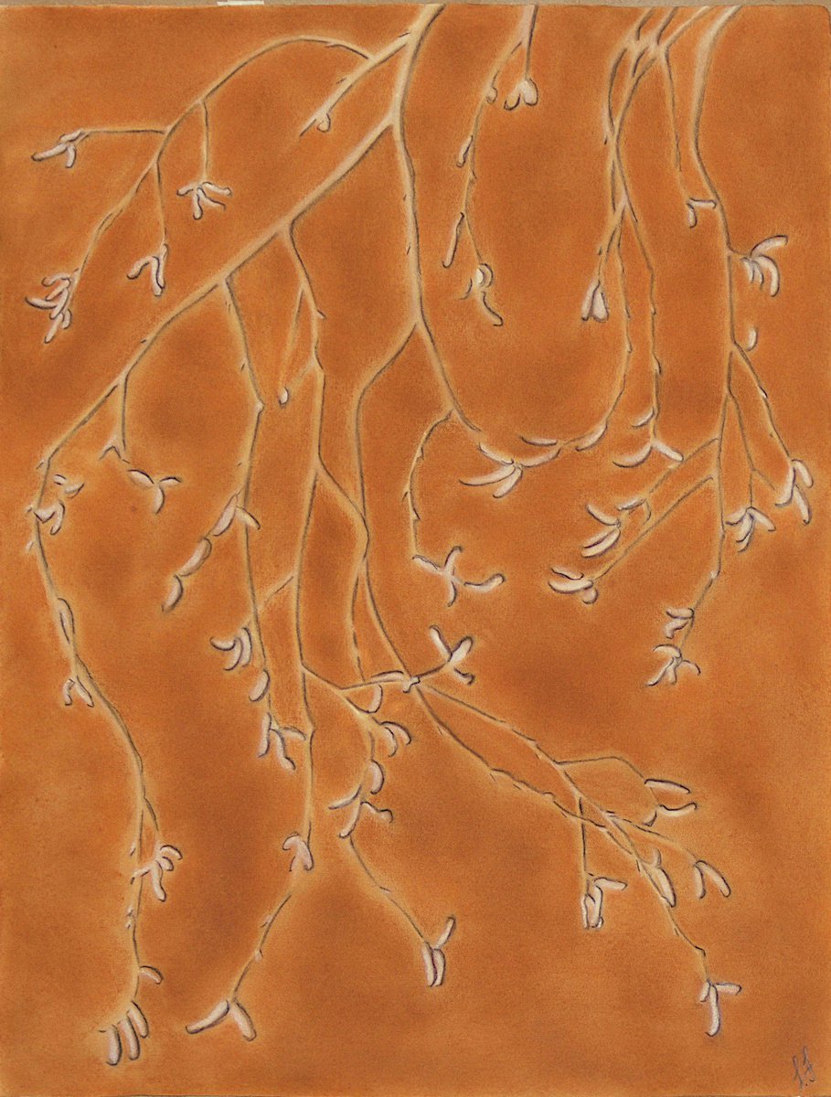 Betula pendula II (Silver birch) by Laura Sttefeld