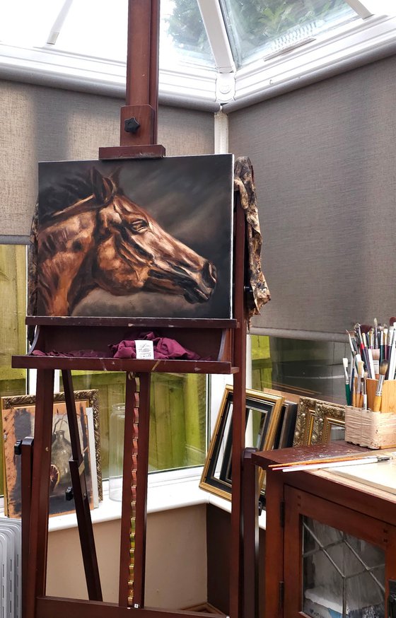 In Motion-Original Horse Portrait