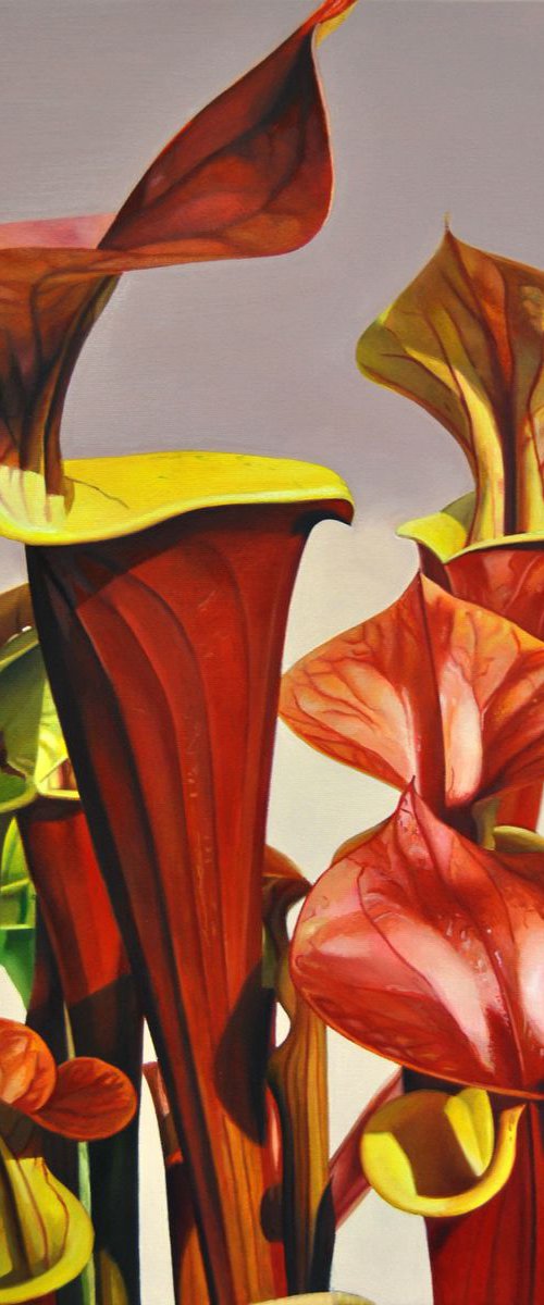 Sarracenia Waccamaw, Oil on canvas painting by Valeri Tsvetkov