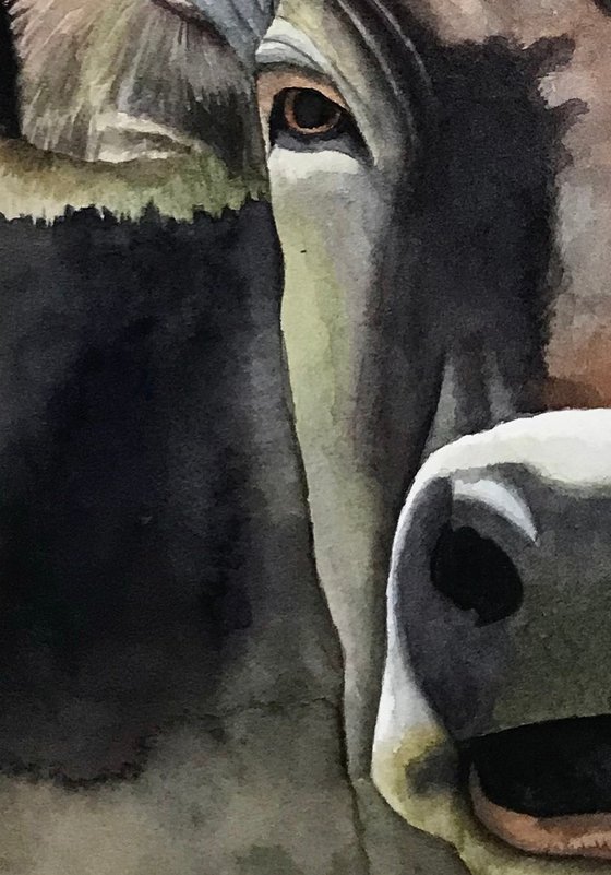 Cow