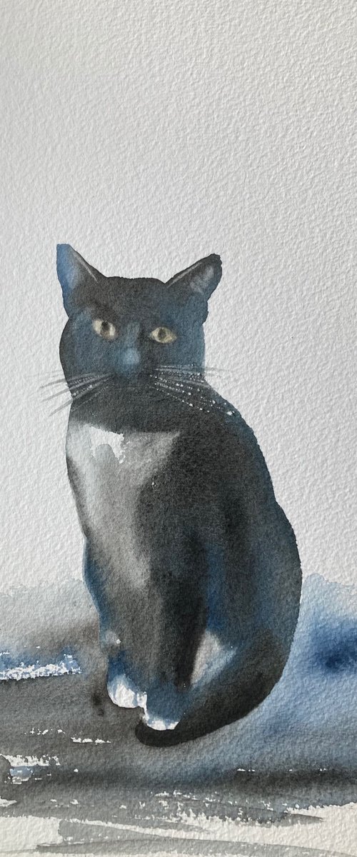 Rupert the cat by Silvie Wright