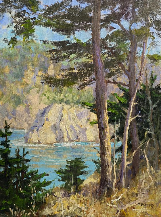 Point Lobos Cove View Plein Air Landscape