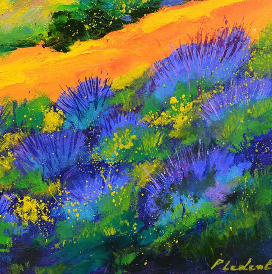 Summer in Provence - 7725