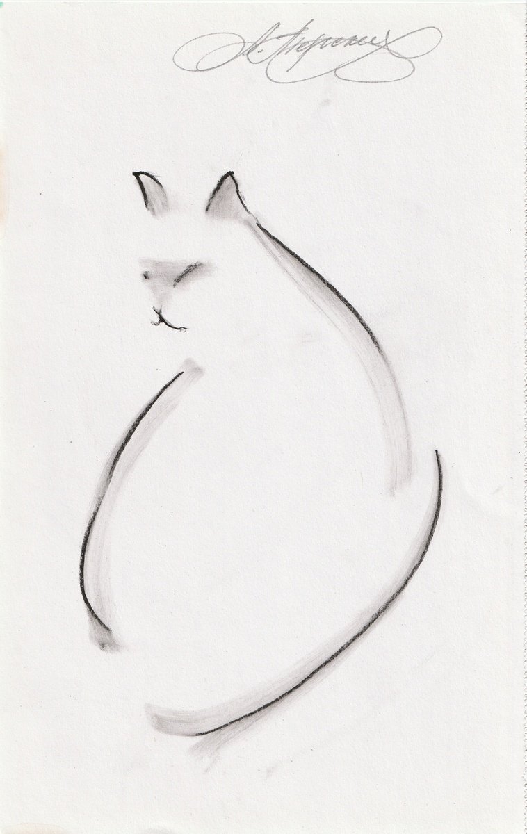 Animal Charcoal Drawing By Anastasia Terskih, 7 X 12, Cat, Original Artwork