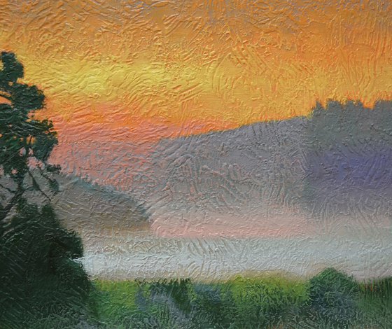 Evening Light