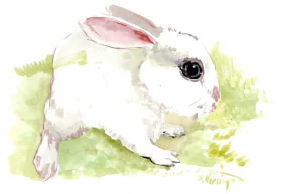 Bunny