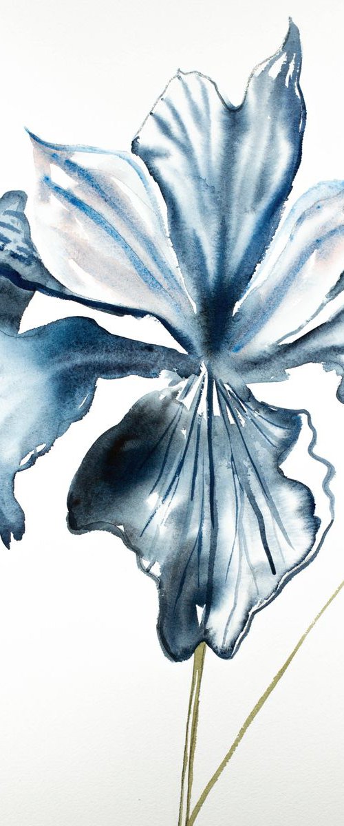Iris No. 90 by Elizabeth Becker