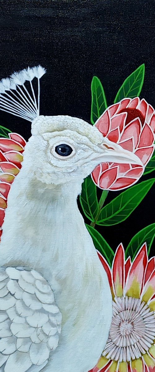 The Majestic Treasures of Nature by Sreya Gupta