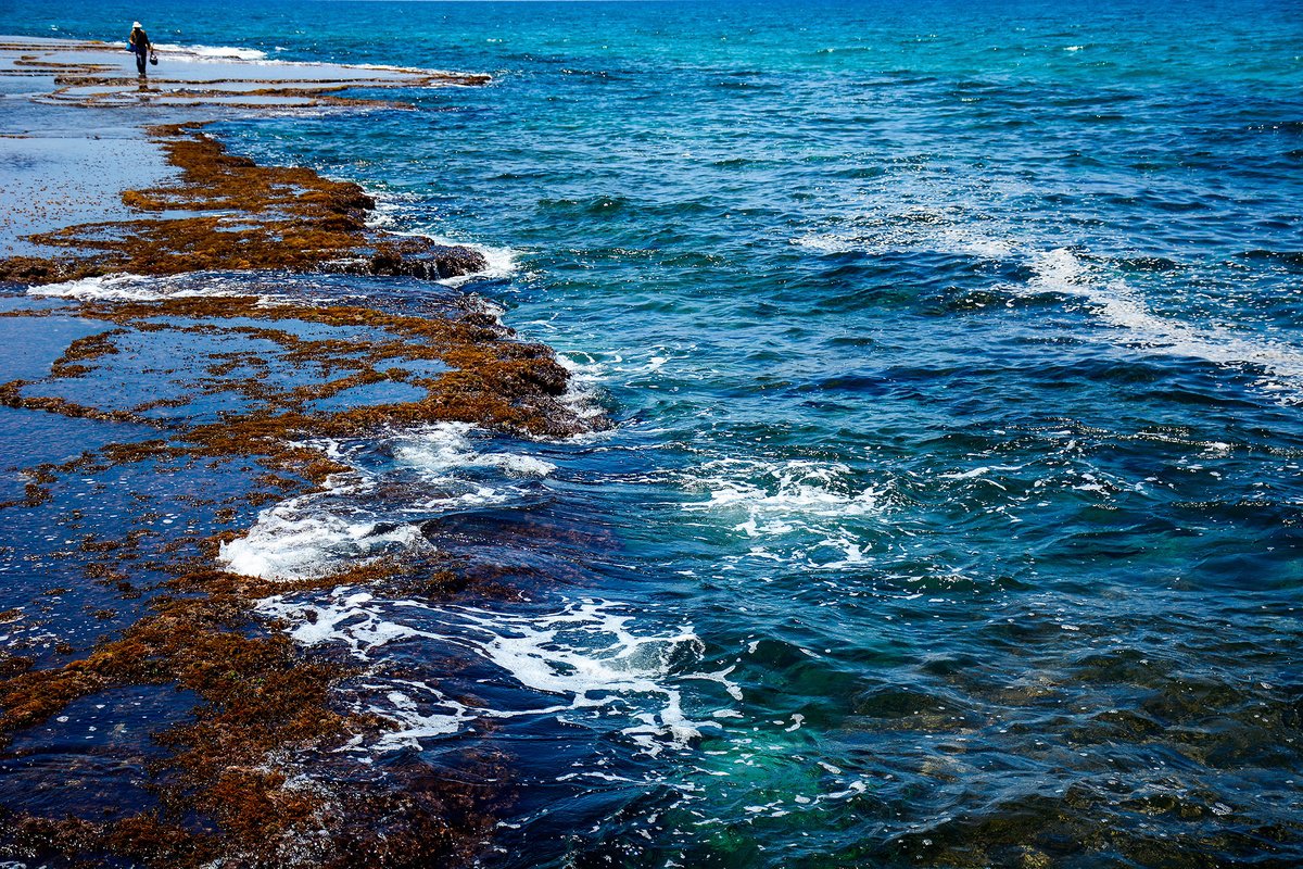 Landscape Photograph By Tal Paz-Fridman, 22 X 16", Sdot Yam Beach #5, Original Artwork