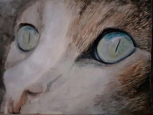 Cat by Nektaria Giannoulakou
