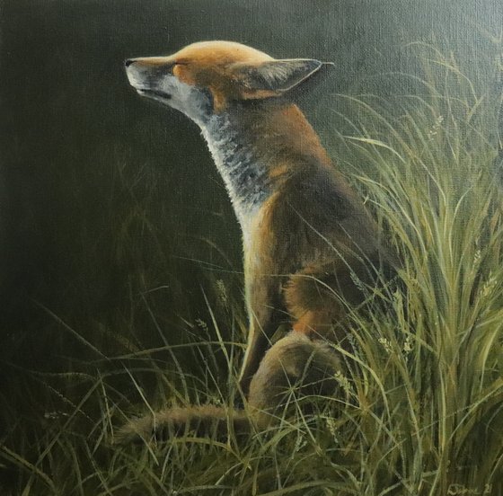 Fox in the Sun Animal original, Foxes Oil Artwork