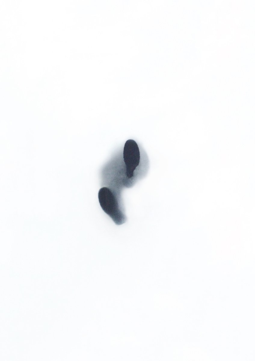 Photograph , From Below By Marcus Cederberg, 20 X 28, Artwork For Sale On Artfinder