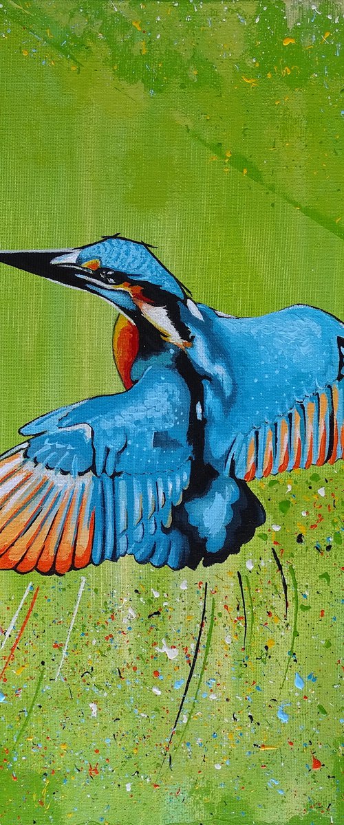 Hummingbird-2 by Livien Rózen
