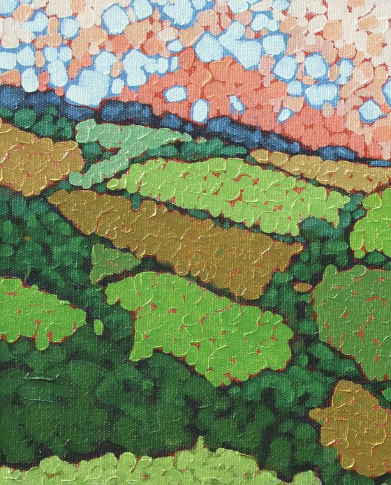 Patchwork Fields