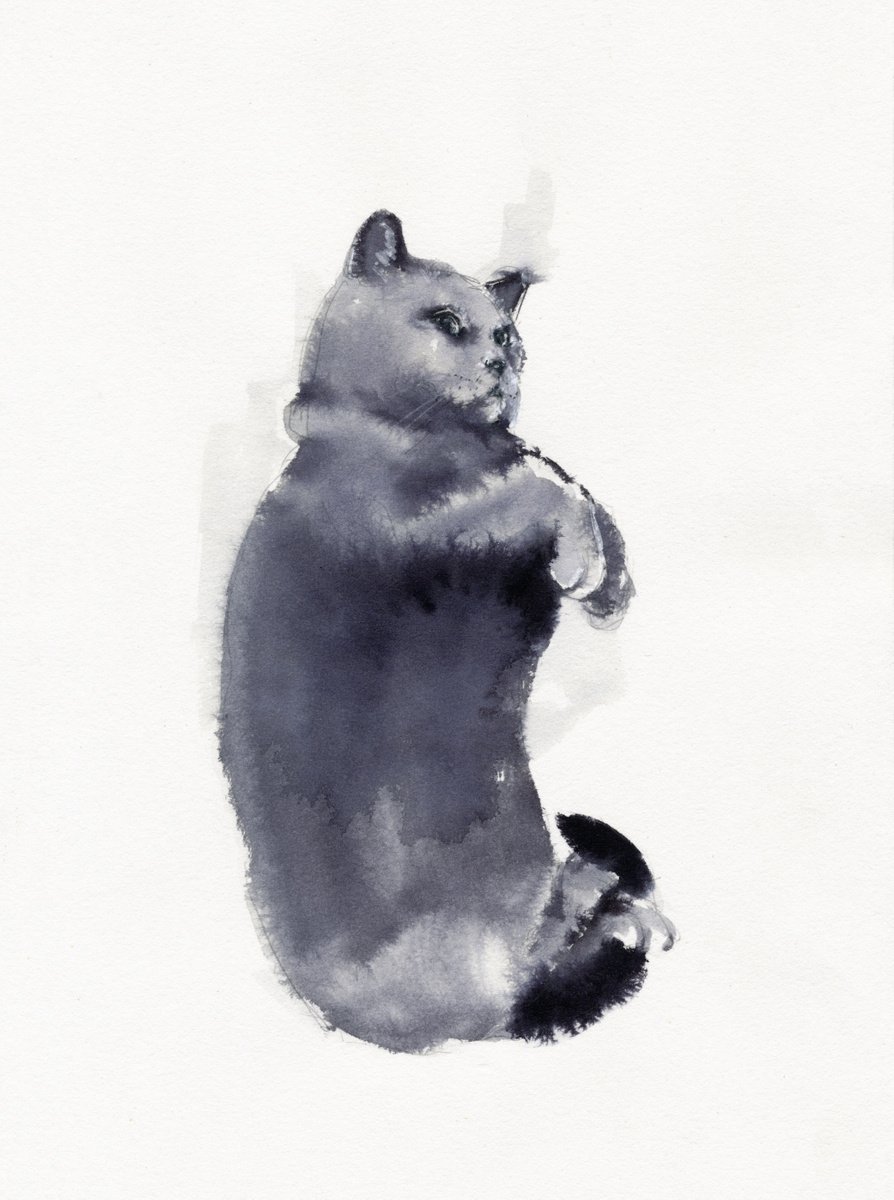 Cute Cat II by Doriana Popa