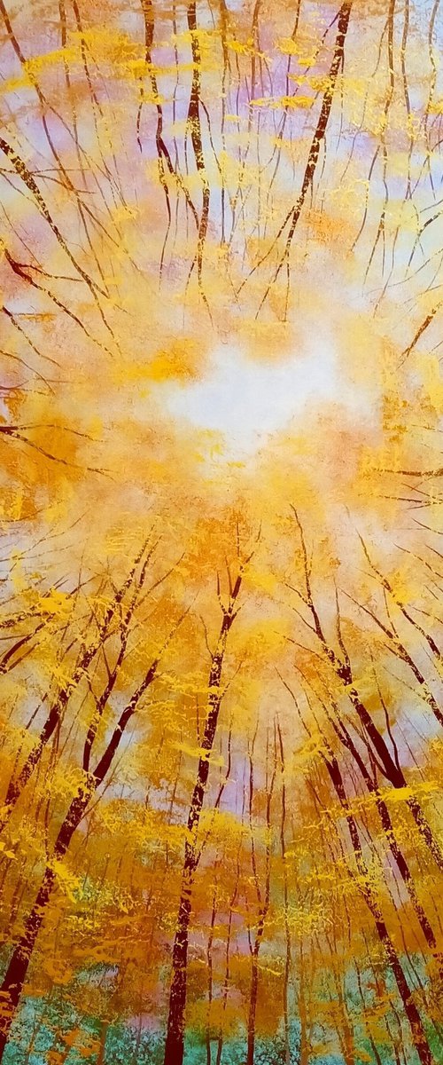 Woodland Sky Gazing by Amanda Horvath