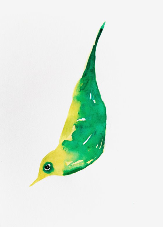 Bird