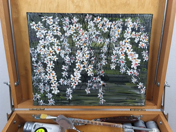 White Cherries 1