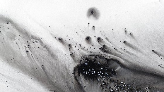 Nature 579 — Abstract Windswept Feather
