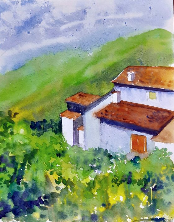 The Tuscan roof tops