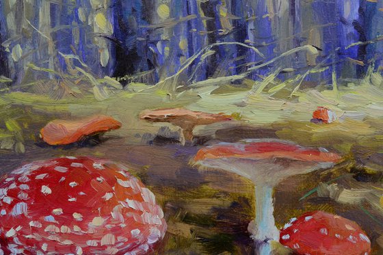 Forest stories