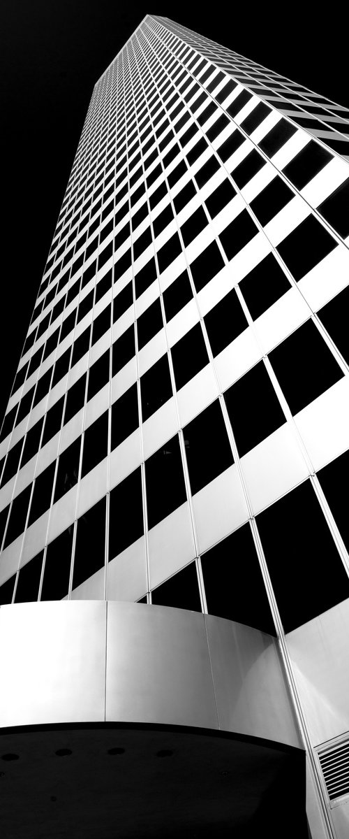 Vertical Field by Brandon LeValley