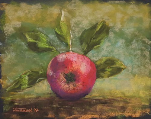 Fresh Energy - ORIGINAL SOFT PASTEL PAINTING of red apple by Monika Wisniewska Amaviael