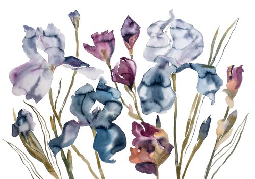 Irises no. 2 by Elizabeth Becker