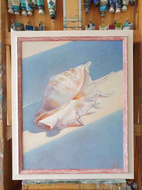 "An attribute of the divine Aphrodite."  still life seashell  liGHt original painting  GIFT (2021)