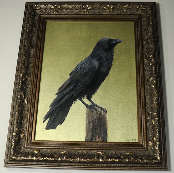 Raven, Portrait of a Black Bird