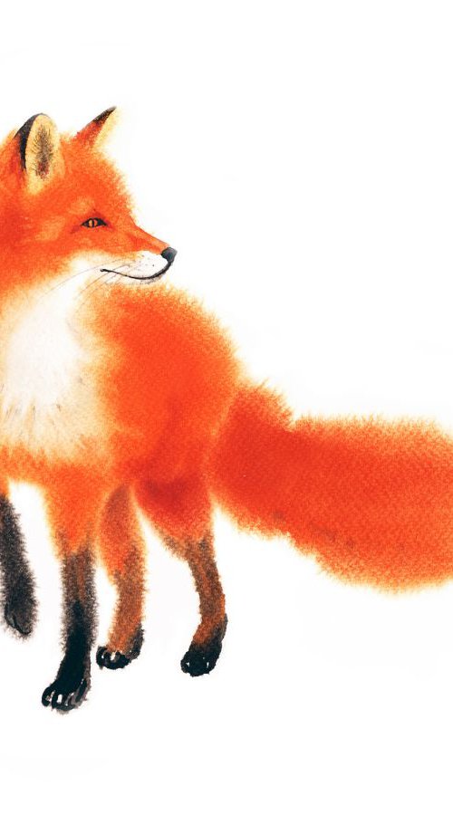 A Very Busy Fox – Red Fox – Fo by Olga Beliaeva Watercolour