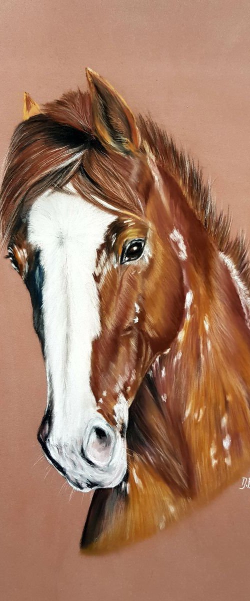 Pastel painting on Paper equines realism "Horse Aida '' . by Deimante Bruzguliene