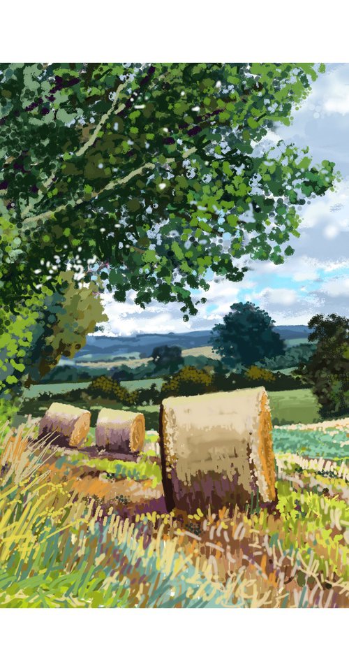 Straw Bales, Coxwold by Jeff Parker