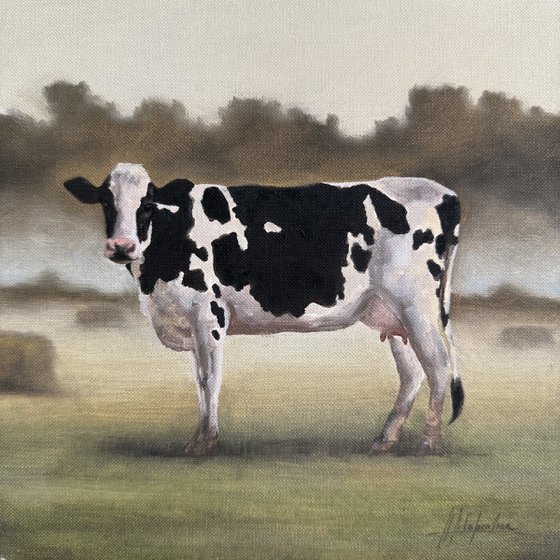 Just a cow