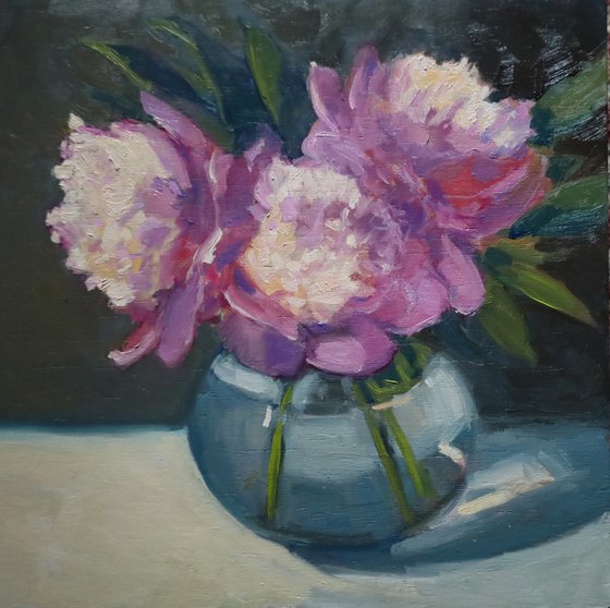 Morning Light, Peonies