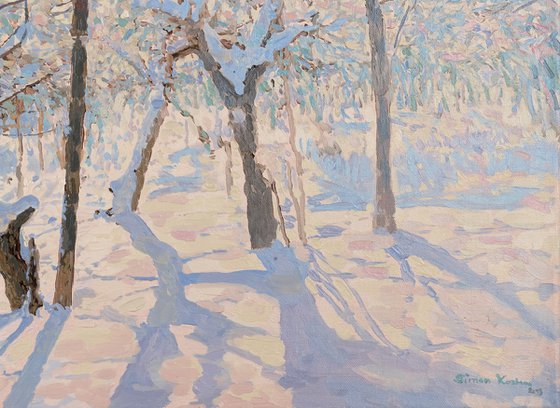 Apple Trees Covered in Snow