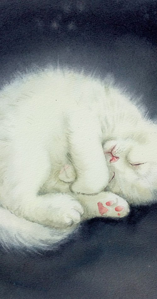 White kitten curled up and sle by Olga Beliaeva Watercolour