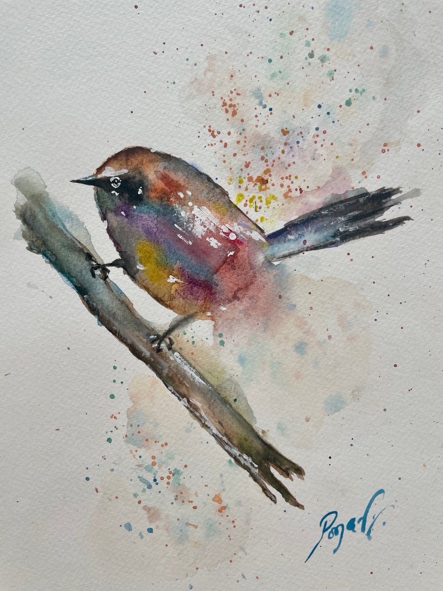 Bird from my Secret Garden by Pooja Verma
