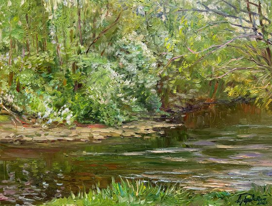 River in Soft Light
